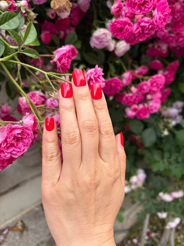 Customer review photo